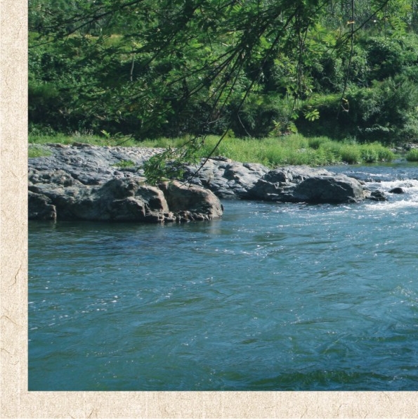 东营粉象生活怎么推广