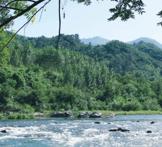 粉象生活怎么找大优惠