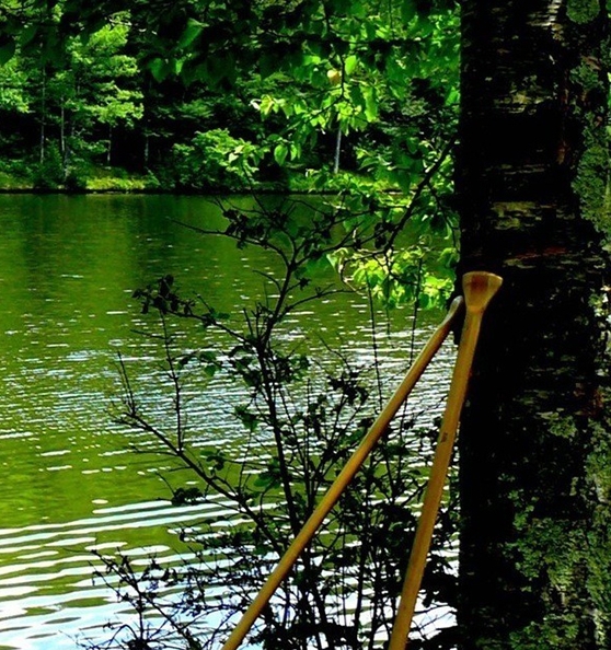 粉象生活自动打开