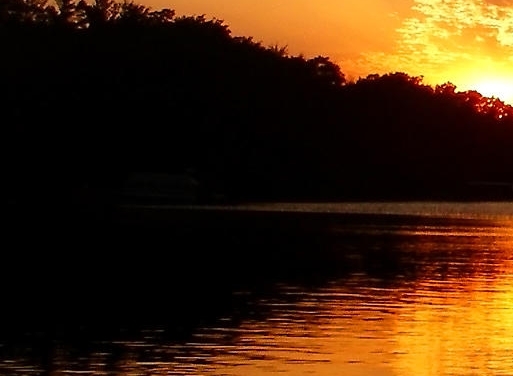 粉象生活怎么赚钱