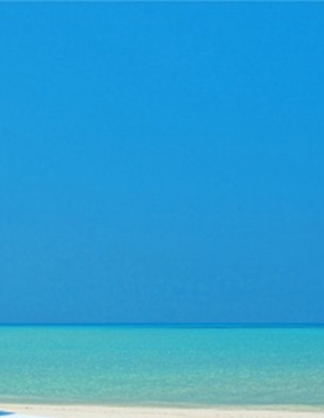 粉象生活能赚到钱吗