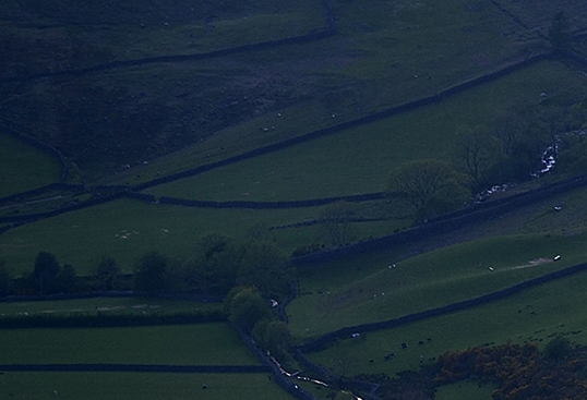 粉象生活靠谱吗