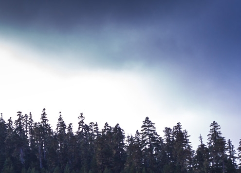 粉象生活送货兼职