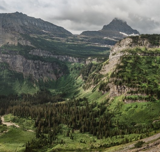 粉象生活红利期