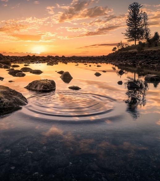 粉象生活官方邀请码哪一个是真的