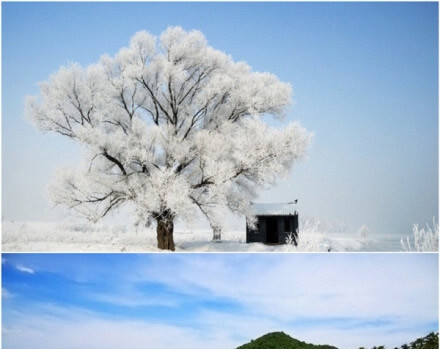 潍坊粉象生活加盟