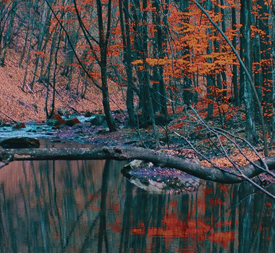粉象生活邀请费用