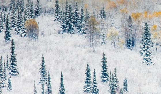 粉象app下载升级找fxsh33