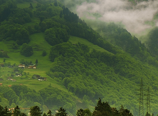粉象生活怎么赚钱