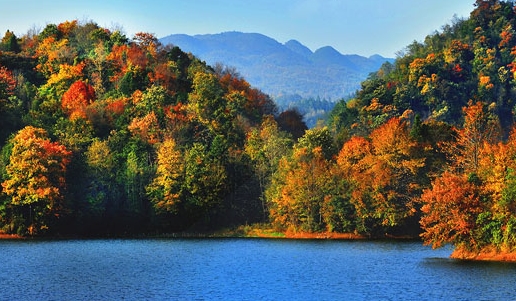 粉象生活升级会员后真的能赚钱吗