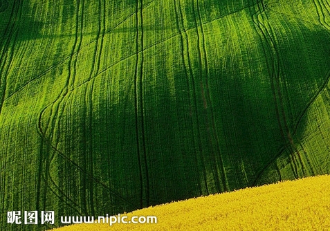 粉象生活的手机号怎么注册