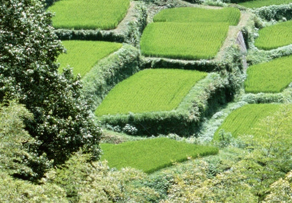 粉象生活怎么注销手机号