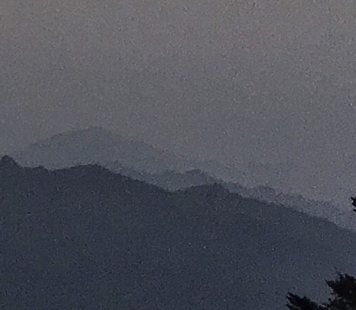 粉象生活下载app