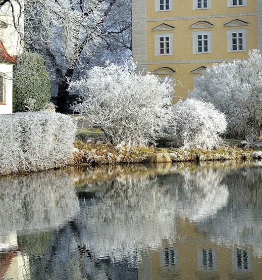 南通粉象生活佣金