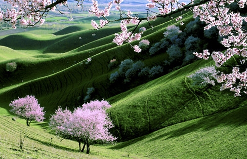 消费者联盟和粉象