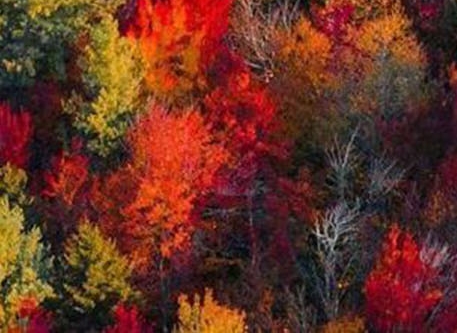 粉象生活优惠怎么做的