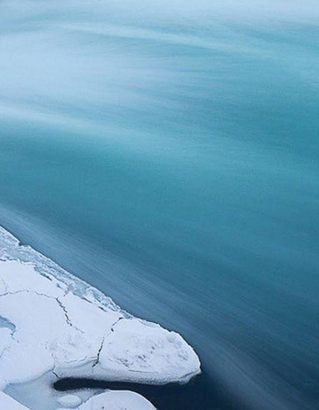 粉象生活的店铺如何开