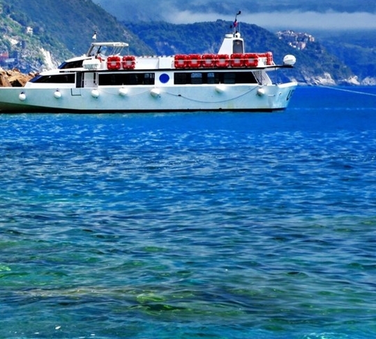 粉象生活点券优惠