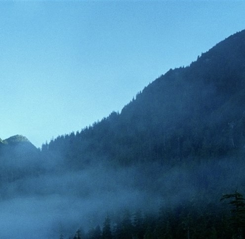 粉象生活有提现额度吗