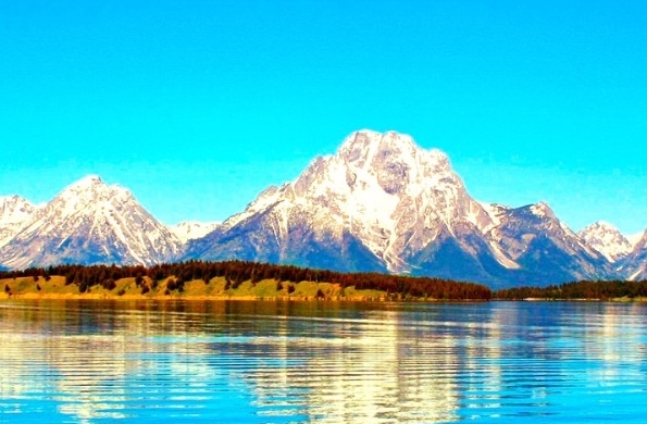 好省和粉象生活哪个好