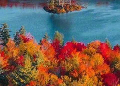 粉象生活怎么用微信提现