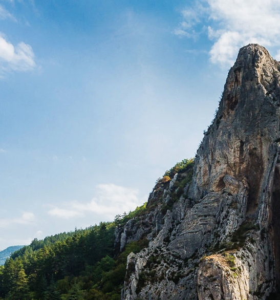 粉象生活行动派