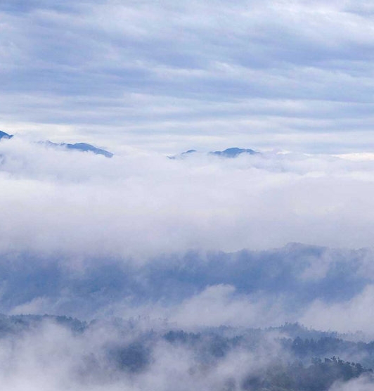lv粉豆豆多少钱