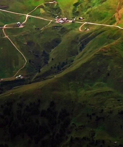 怎样在粉象生活里搜店铺