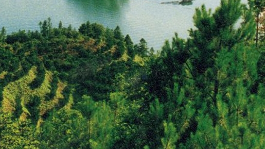 粉象生活是什么?