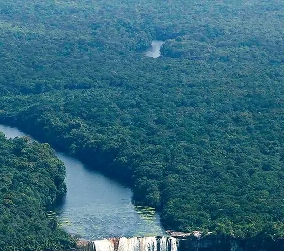 粉象生活乱发货不换货