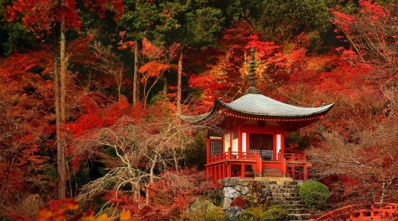 粉象女生一般喝几瓶