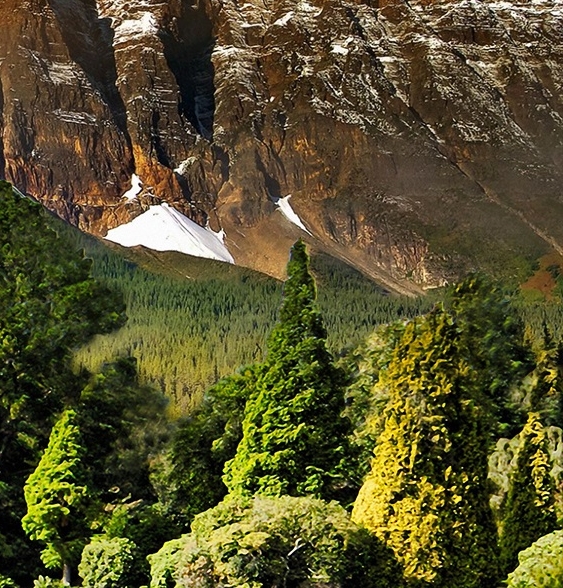 粉象生活领券是真的吗