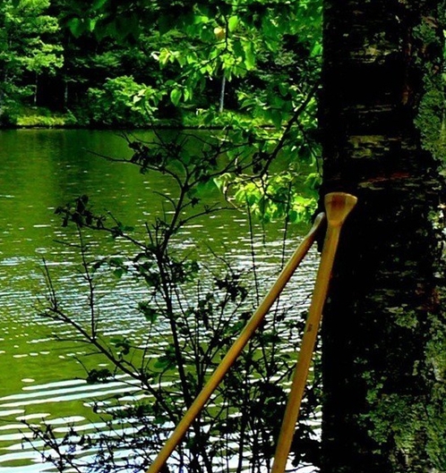 粉象生活是什么?