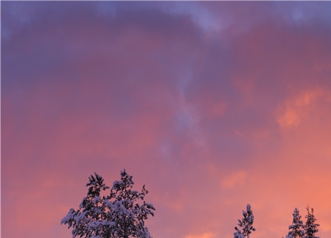 粉象生活广告宣传样板