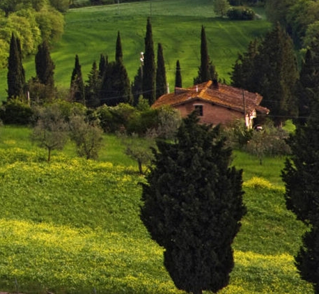 下载粉象生活教程