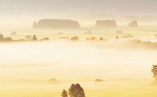 江门粉象生活合伙人