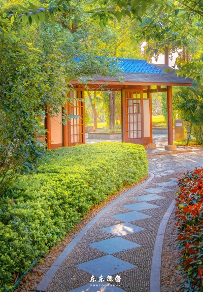 粉象生活上的商品怎么购买