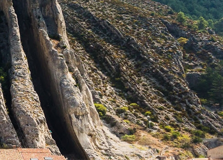 粉象生活跟蜜源