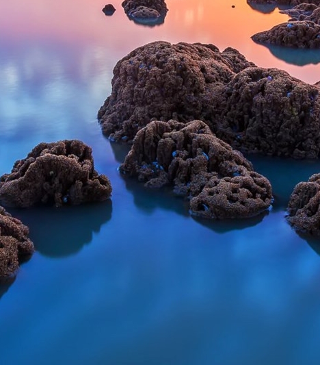 粉象生活神器app