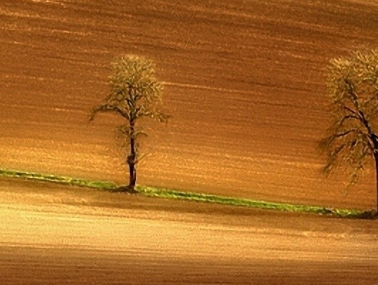 粉象生活邀请码什么意思
