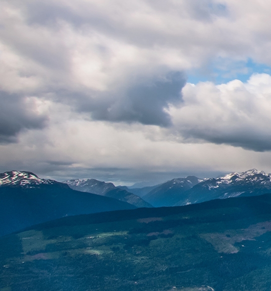 福建一站式粉象生活赚钱么