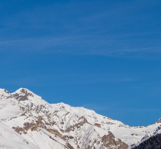 粉象生活地址杭州