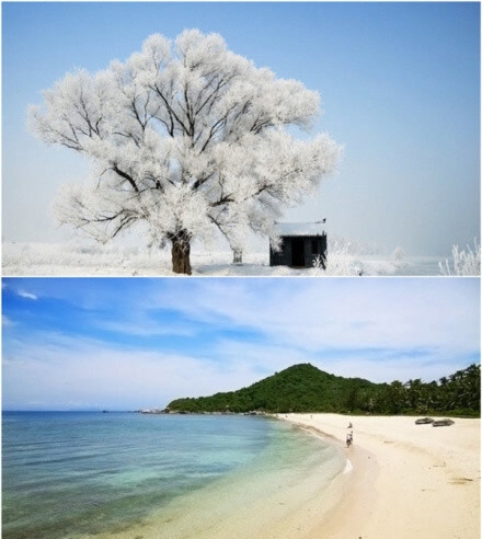 粉象生活推广文章