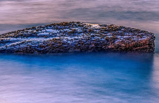 粉象生活雇佣金