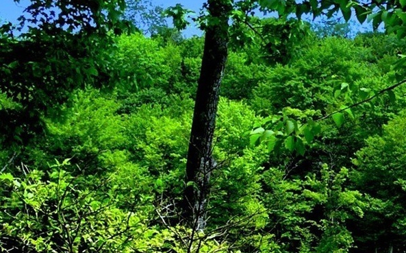 粉象生活返佣是真的吗