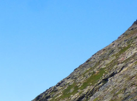 粉象生活怎么设置广告收益