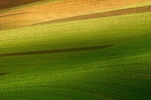 粉象生活值得看吗