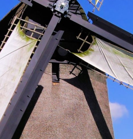 粉象生活能发布任务吗