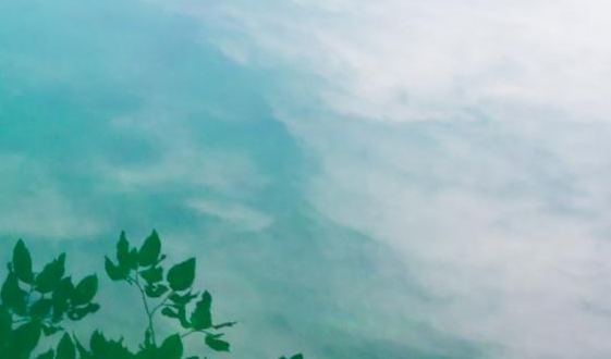 粉象生活哪里有官方邀请码