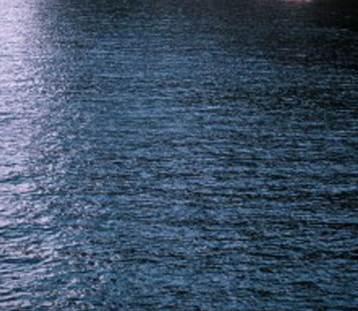 粉象生活买东西怎么送货